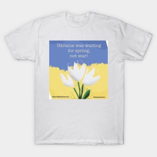 Ukraine was waiting for spring... T-Shirt